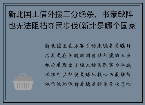 新北国王借外援三分绝杀，书豪缺阵也无法阻挡夺冠步伐(新北是哪个国家)