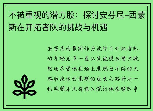 不被重视的潜力股：探讨安芬尼-西蒙斯在开拓者队的挑战与机遇